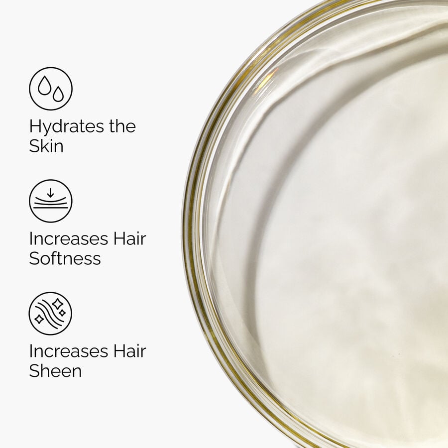 100-organic-cold-pressed-moroccan-argan-oil-w8 FY25-D41247-ORD-Web-PDP-100-Argan-Oil-1x1-EN-3.jpg